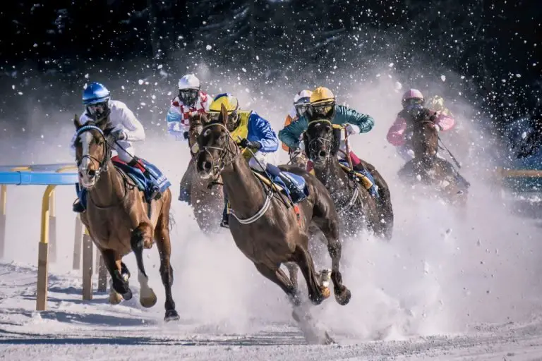 Horses racing around a bend